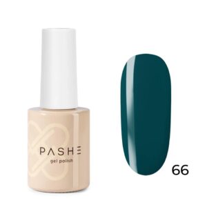 Гель-лак PASHE ATELIER №66